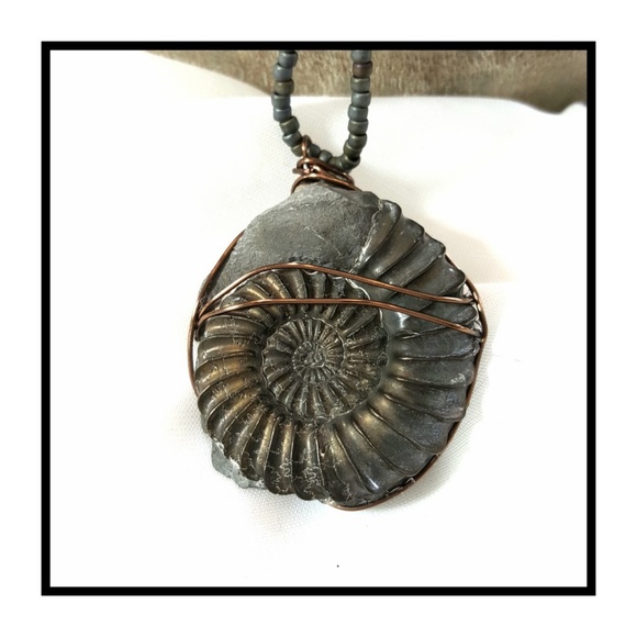 Artisan - Fossilized Pyrite Ammonite Necklace - Picture 5 of 8